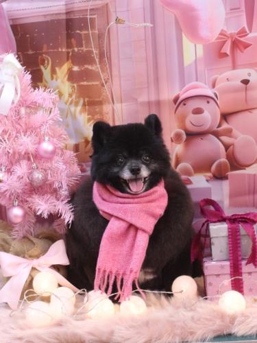 20241208れおくん